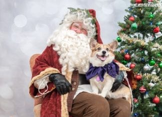 Pet Photos With Santa, A Parade, Vendors and More!