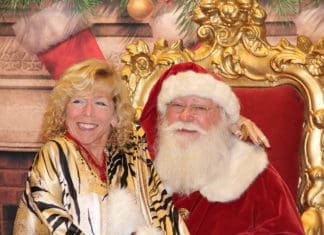 Annual Festival of Trees at Vista Optimist Club