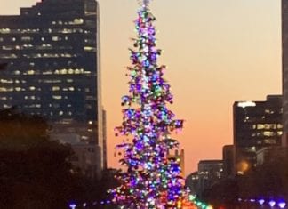 The California Capitol Christmas Tradition