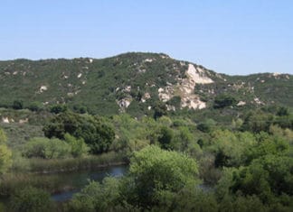 Daley Ranch Guided Hikes in December