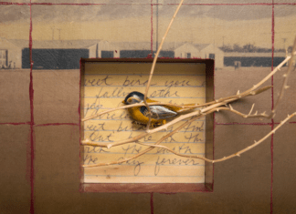 Gallery Talk with Wendy Maruyama & Photography Lecture by Ruth Wallen