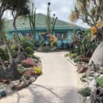 Vista Garden Club