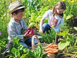 Kids in the Garden Class: Animal Homes and Garden Habitats January 2019