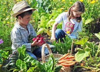 Kids in the Garden Class: Animal Homes and Garden Habitats January 2019