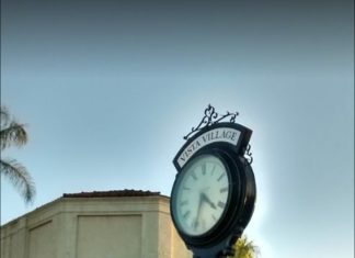 Public Hearing Central Vista Business Improvement District Annual Levy