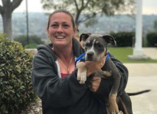 Microchip Reunites Owner with Missing Puppy