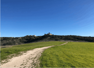 Veterans Memorial Park Planning Begins March 9th