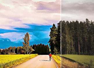 Digital Photo Things to Know