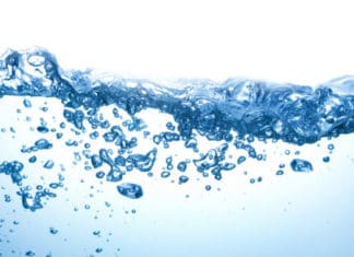 World of Water Celebration Was a Success