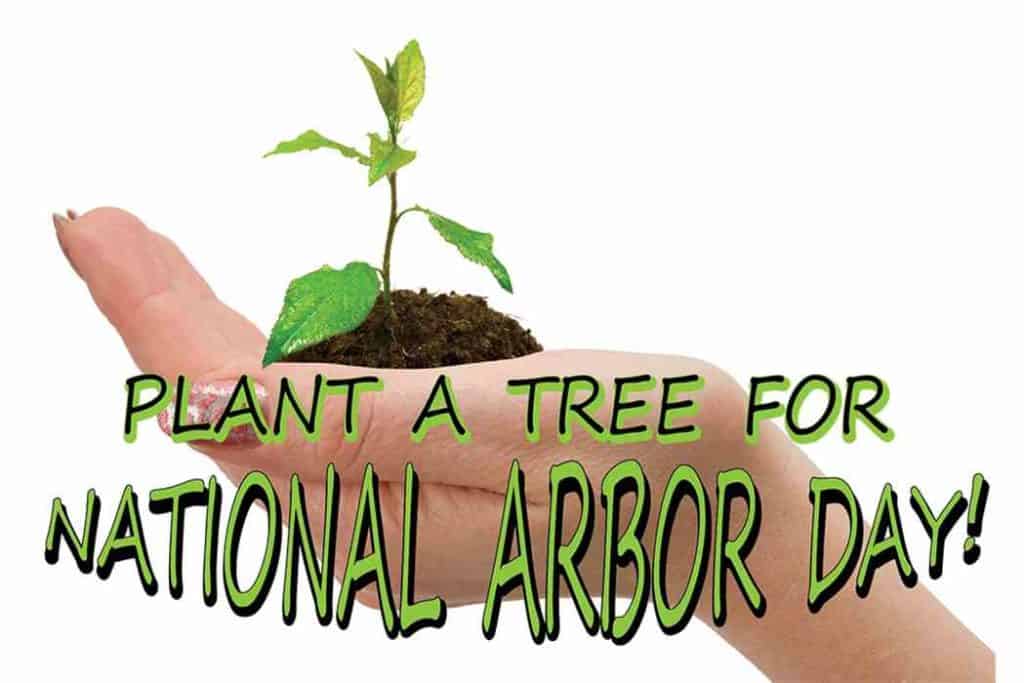 Celebrate Arbor Day April 27th North County Daily Star
