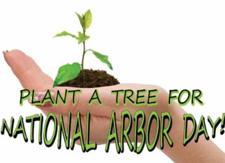 Celebrate Arbor Day April 27th