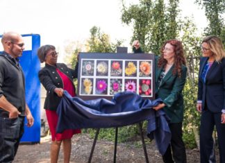 U.S. Postal Service Unveils Stamp Series at Palomar’s Cactus Garden
