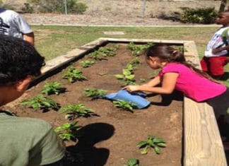 Boys & Girls Club of Oceanside Granted $1,000 by San Diego County Ag
