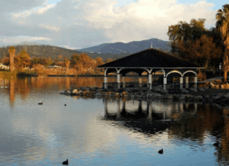 Butterflies are Thriving at Lindo Lake County Park