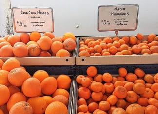 Farmers Market – Farm Fresh to You