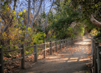 “Best of San Marcos” Photo Contest Winners Announced