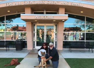Rocksann the Dog Adopted by Vista Couple