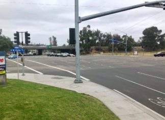 Fatal Hit-and-Run Collision in Vista