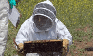Learning the A, Bee, C’s of Beekeeping VIDEO