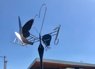 Call to Artist Kites Over Vista – 2020 Exhibition