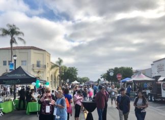 A Vegetarian Samples a Taste of Vista