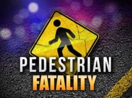 Pedestrian killed, collision under investigation