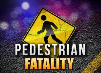 Vehicle vs. Pedestrian Fatal Collision
