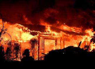 Board Approves Plan to Boost Wildfire Resilience