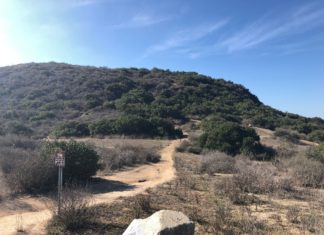 Village H South Trail in Carlsbad