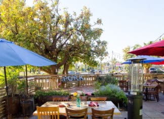 Walking Food Tour in Vista This Saturday