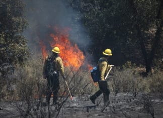 Camp Pendleton Fire Department saves First Sergeant’s Hill