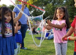 100+ Free Things to Do in July