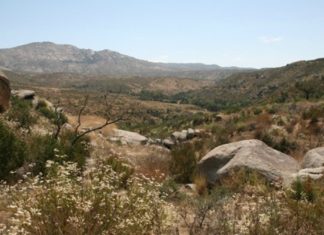 Annual August Closures Coming to Several County Parks