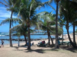 Paradise Known as Kauai