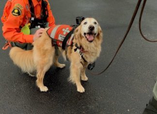 Training For A Search And Rescue