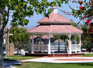 Oceanside Parks and Recreation Fall Activity Guide