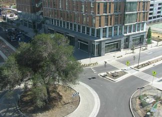 North City Development Saves Historic 35-ft Oak Tree and Opens New Road
