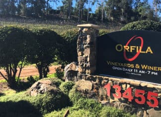 Orfila’s annual Grape Stomp is Saturday August 24th