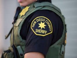 Suspect Arrested After Car Break-in.