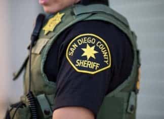 Suspect Arrested After Car Break-in.