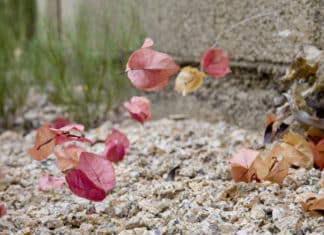 ‘Challenging the Surface’ at the Civic Gallery