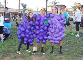 Grape Day 5K Fun Run, Walk, Stroll