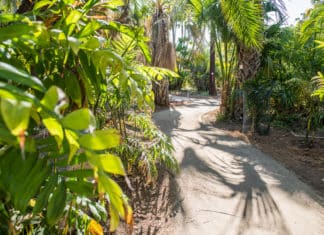 Re-Opening the Edwin & Frances Hunter Arboretum Sept 26th