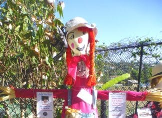 Fall Fun Festival 2019 Alta Vista Botanical Gardens Oct 12th VIDEO