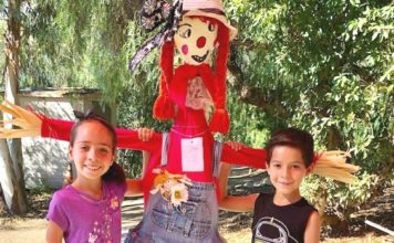 Scarecrow Contest Rules Alta Vista Botanical Gardens October 16th