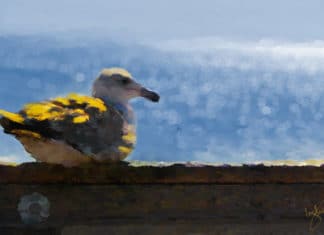 First Friday Art Walk Oceanside, September 6th