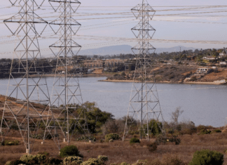 The Carlsbad City Council has Approved New Lagoon Trail