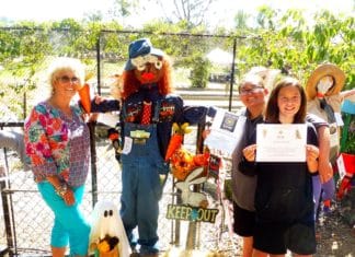 Scarecrows at the Fall Fun Festival!