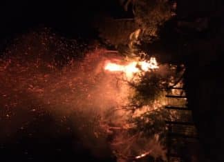 Foothill Drive Vegetation Fire