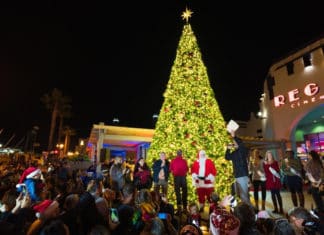 North County Events from Dec. 1-7 From Parades to Tree Lightings and More